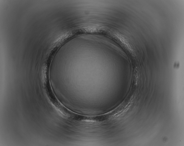 X0000097830590200803281202