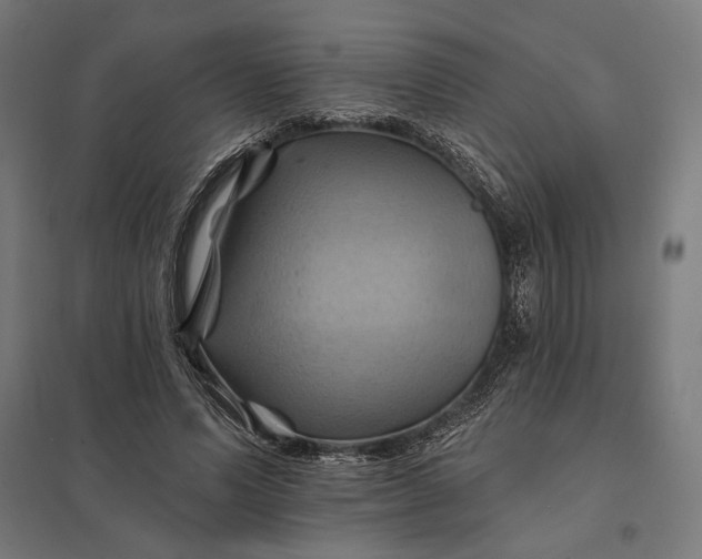 X0000097830591200803281202