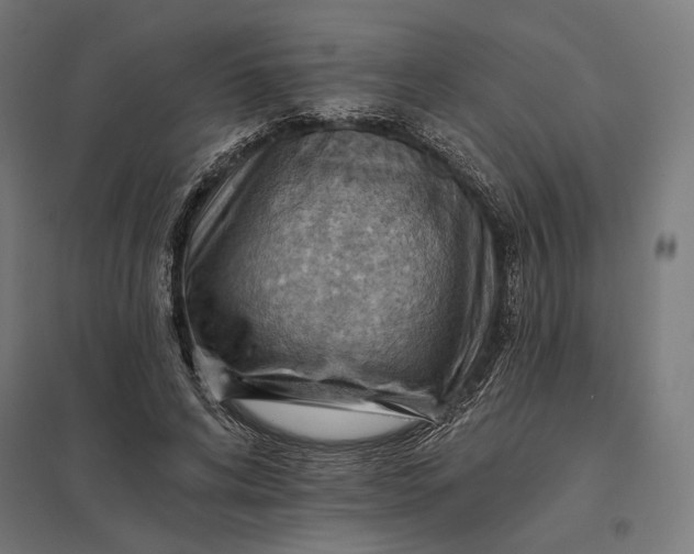 X0000097830592200803281202