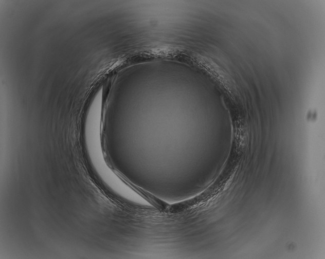 X0000097830593200803281202