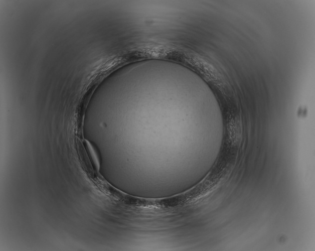 X0000097830594200803281202