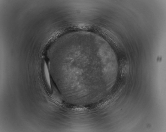 X0000097830595200803281202