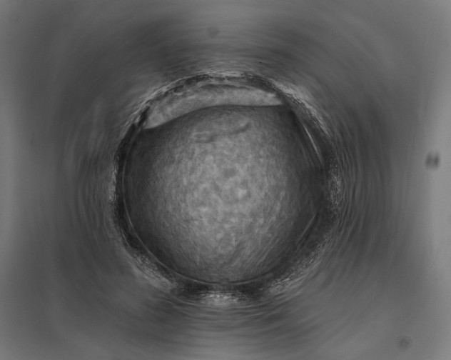 X0000097830596200803281202