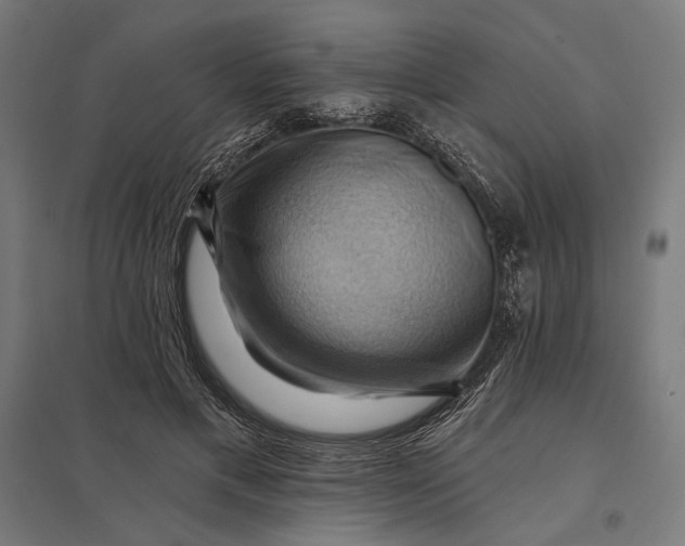 X0000097830597200803281202