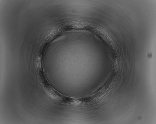 X0000097830598200803281202