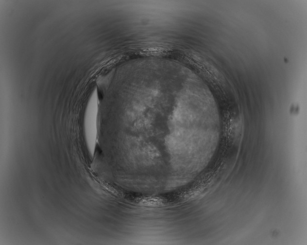 X0000097830599200803281202