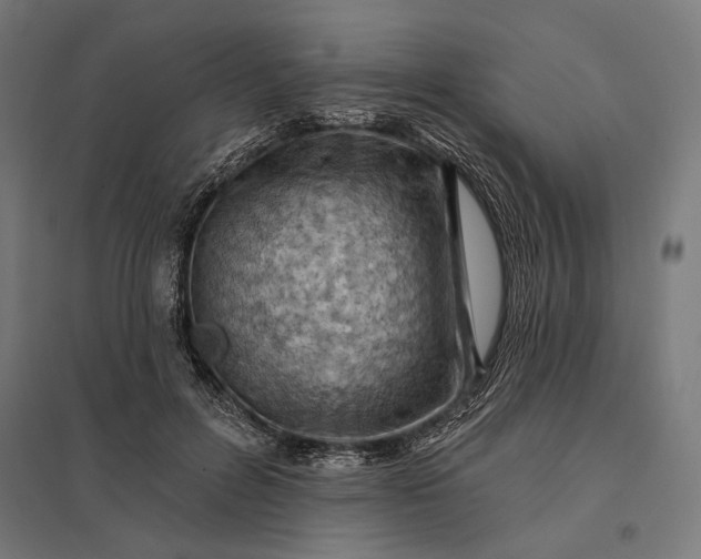 X0000097830600200803281202