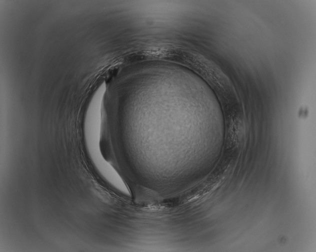 X0000097830601200803281202