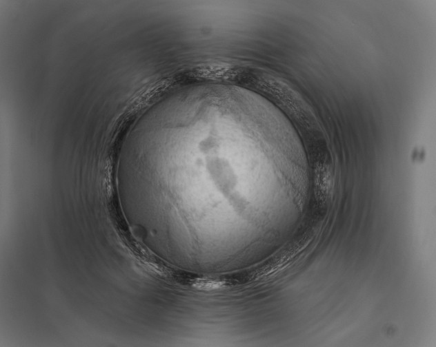 X0000097830602200803281202