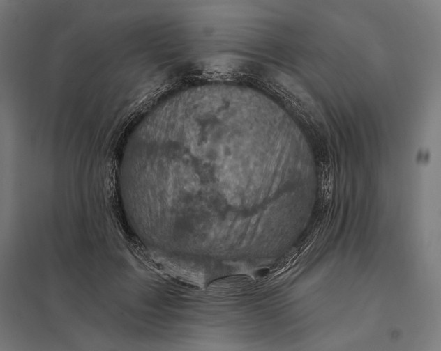 X0000097830603200803281202