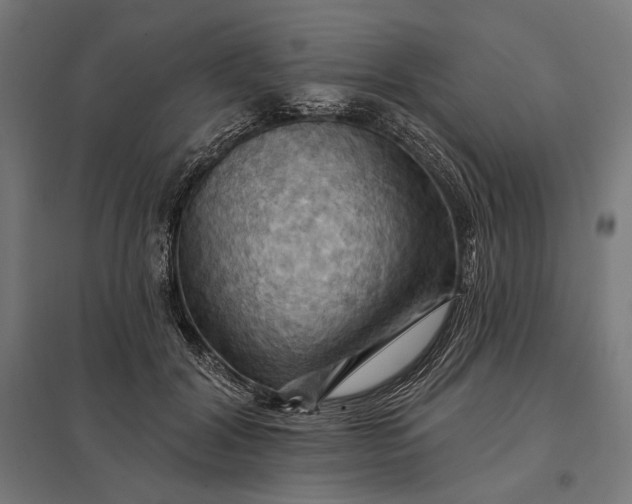 X0000097830604200803281202