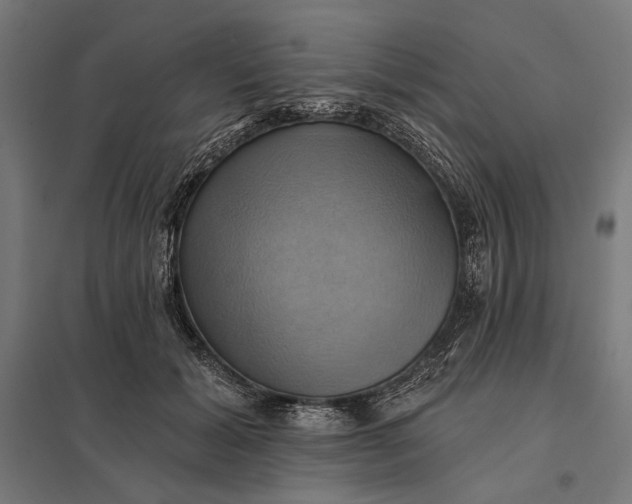 X0000097830605200803281202