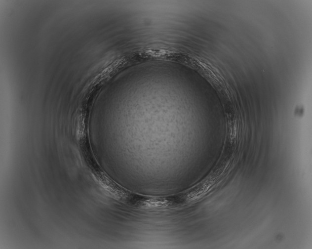 X0000097830606200803281202