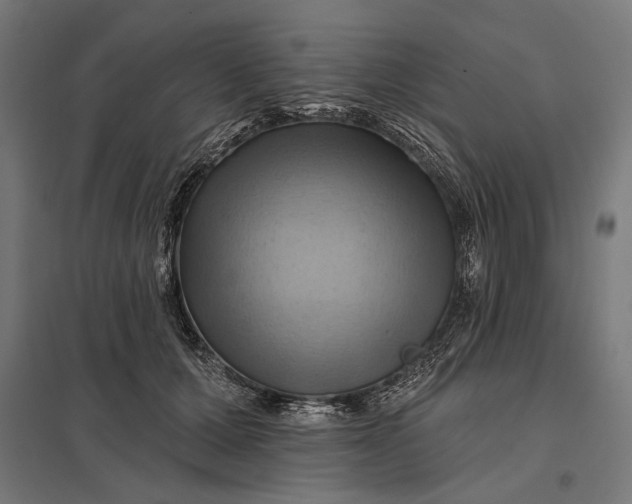 X0000097830607200803281202