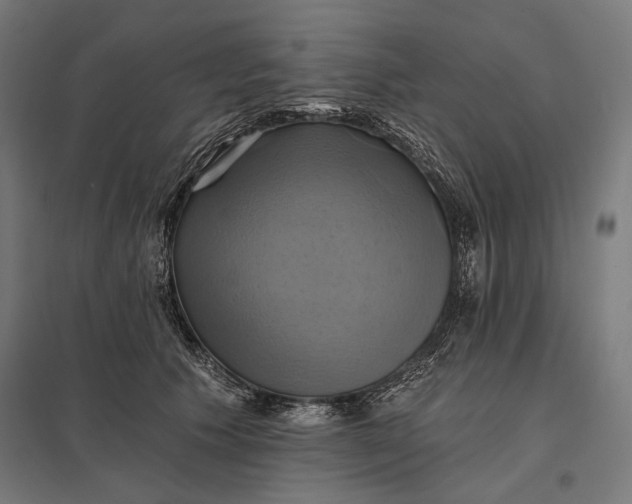 X0000097830609200803281202