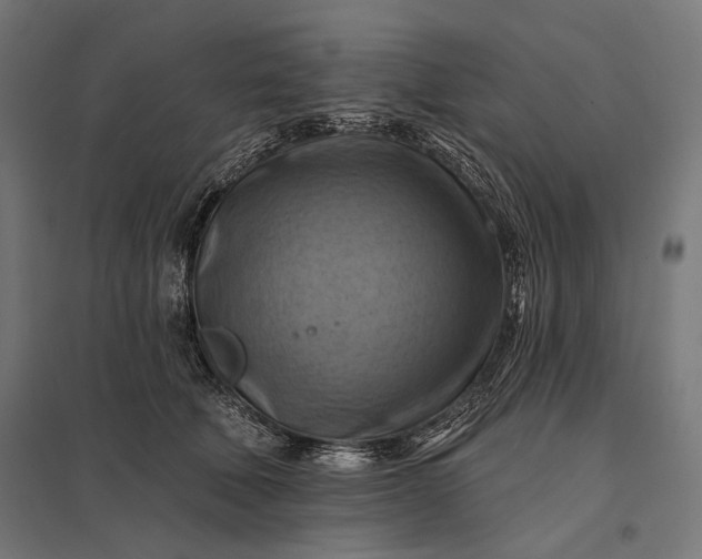 X0000097830610200803281202