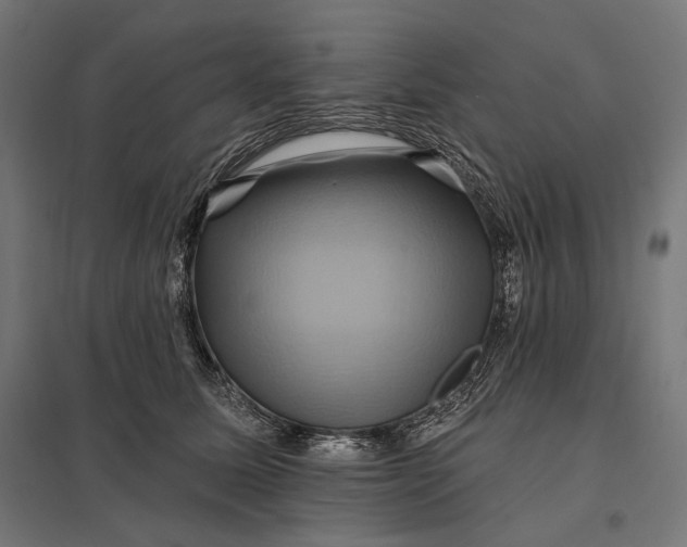 X0000097830611200803281202