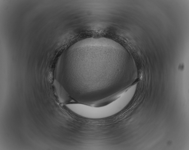 X0000097830613200803281202