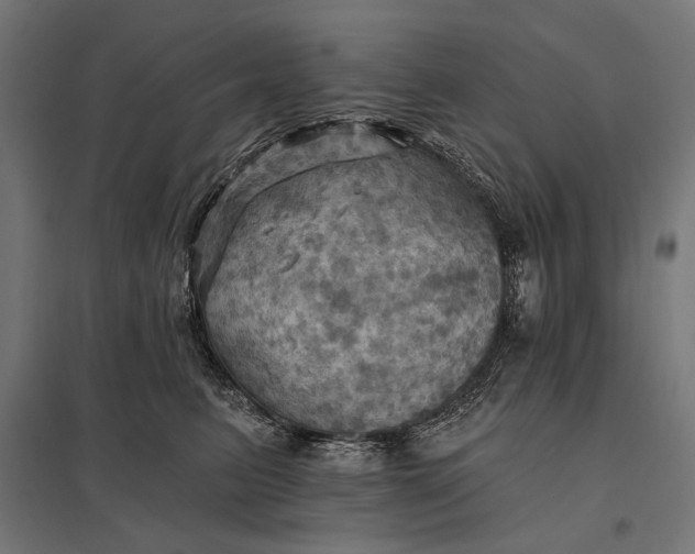 X0000097830615200803281202