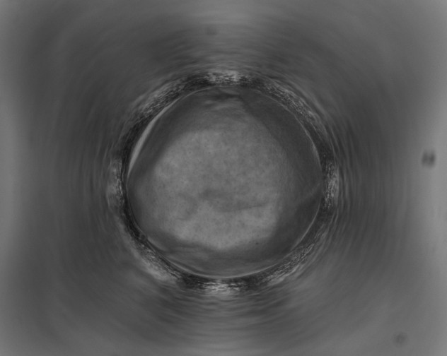 X0000097830616200803281202