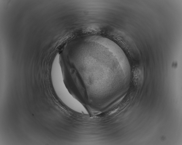 X0000097830617200803281202