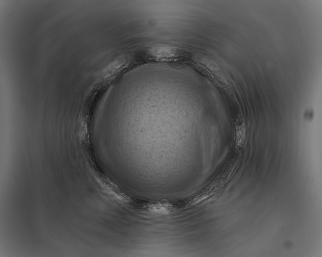 X0000097830618200803281202