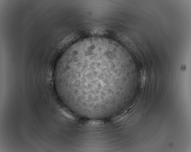 X0000097830619200803281202