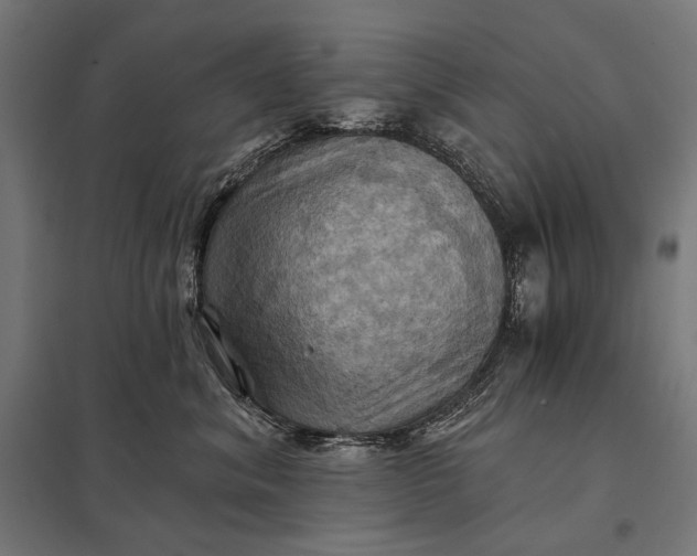 X0000097830620200803281202