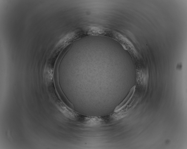 X0000097830621200803281202