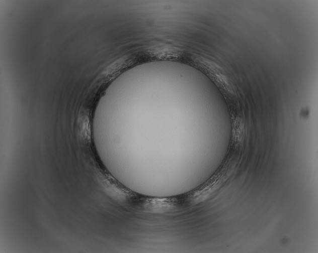 X0000097830622200803281202