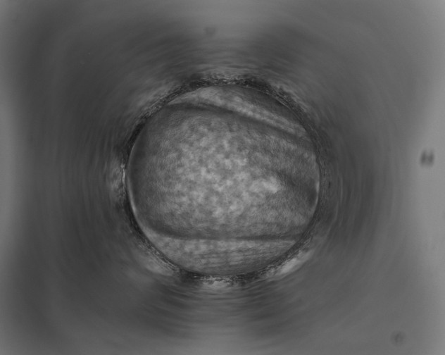 X0000097830624200803281202