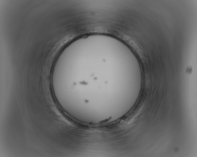 X0000097830625200803281201