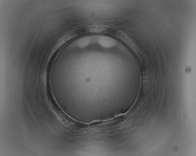 X0000097830626200803281201