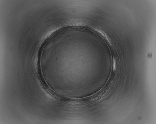 X0000097830627200803281201