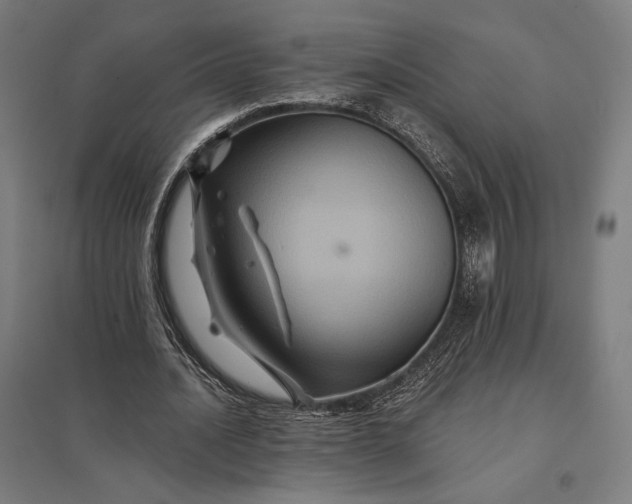 X0000097830628200803281201