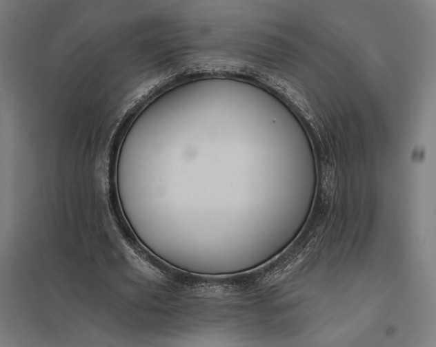 X0000097830629200803281201