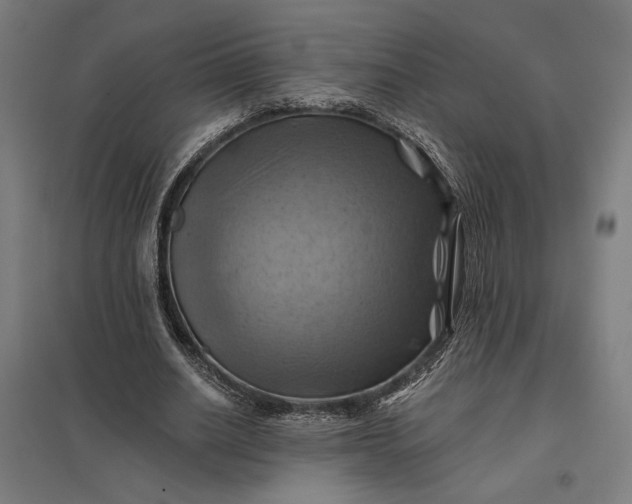 X0000097830630200803281201