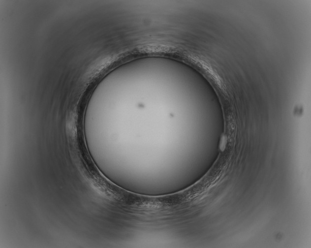 X0000097830631200803281201