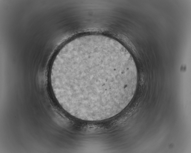 X0000097830632200803281201