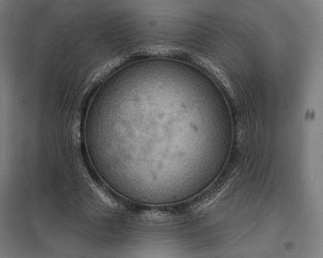 X0000097830633200803281201