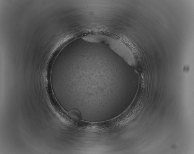 X0000097830634200803281201