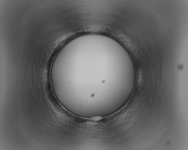 X0000097830636200803281201