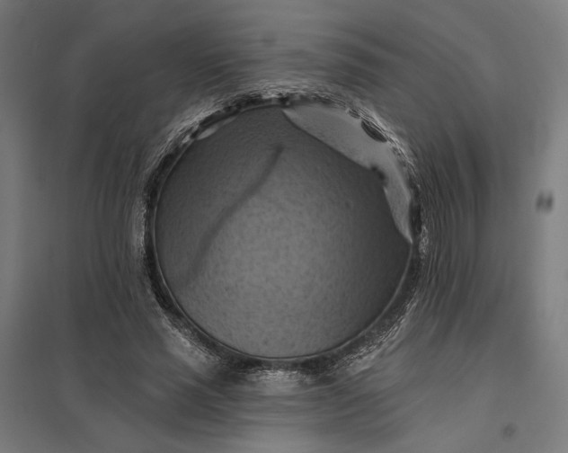 X0000097830637200803281201