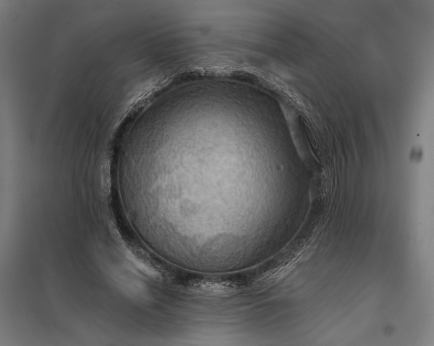 X0000097830638200803281201