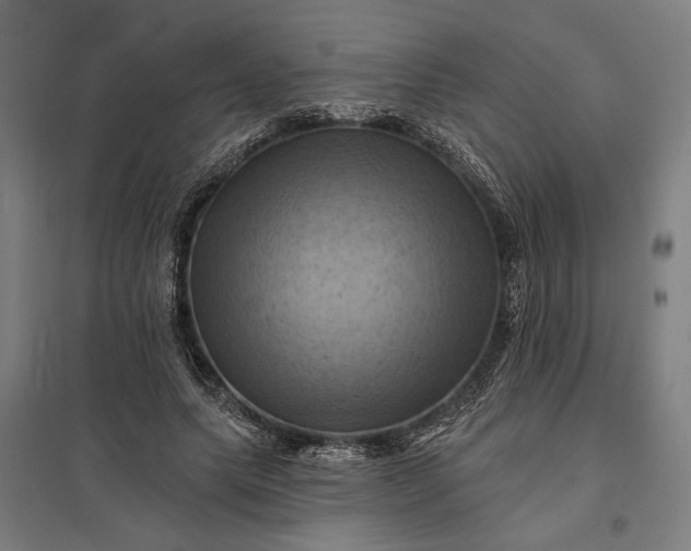 X0000097830639200803281201