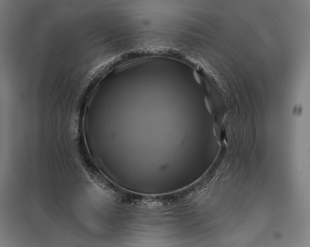 X0000097830640200803281201