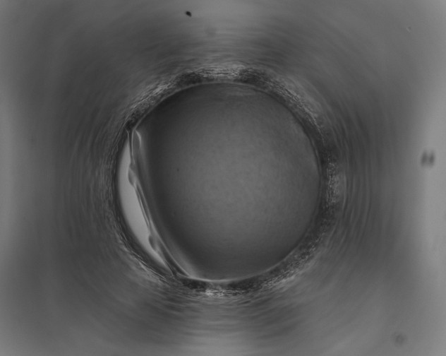 X0000097830641200803281201