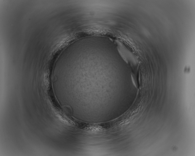 X0000097830642200803281201