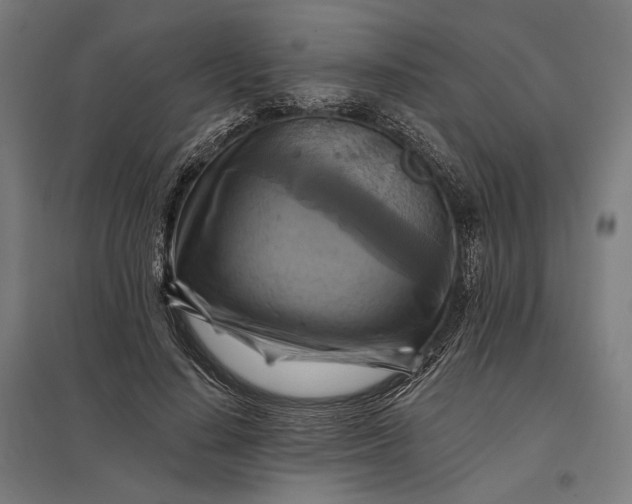 X0000097830644200803281201