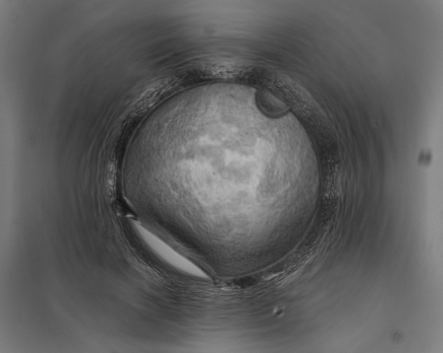 X0000097830646200803281201